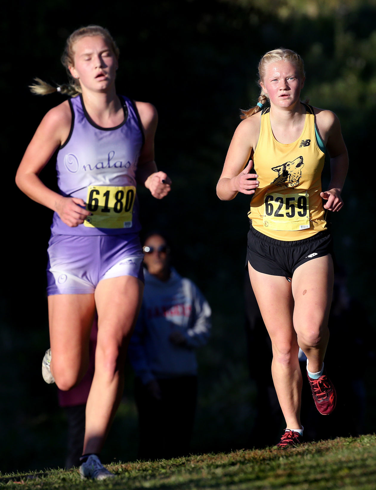 October 17: MVC Cross Country Championships